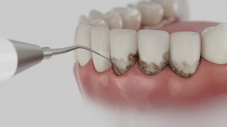 Reliable Dental contractor in Heber Springs, AR by Dentist Open Now